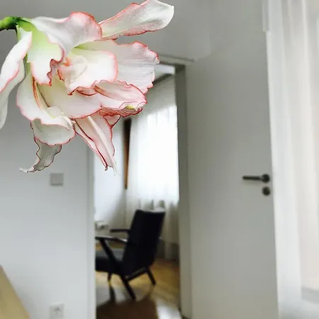 Apartament Design In Park