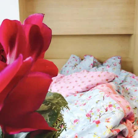 Apartment Design In Park Sofia