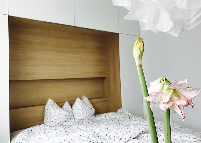 Design In Park דירה