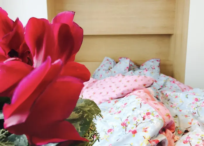 公寓 Design In Park 索菲亞