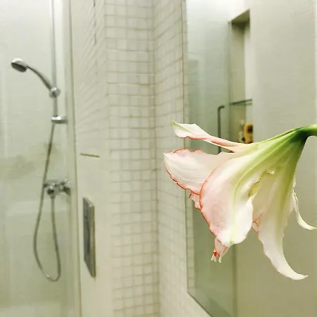 Apartman Design In Park