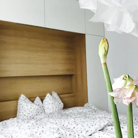 Design In Park Apartman